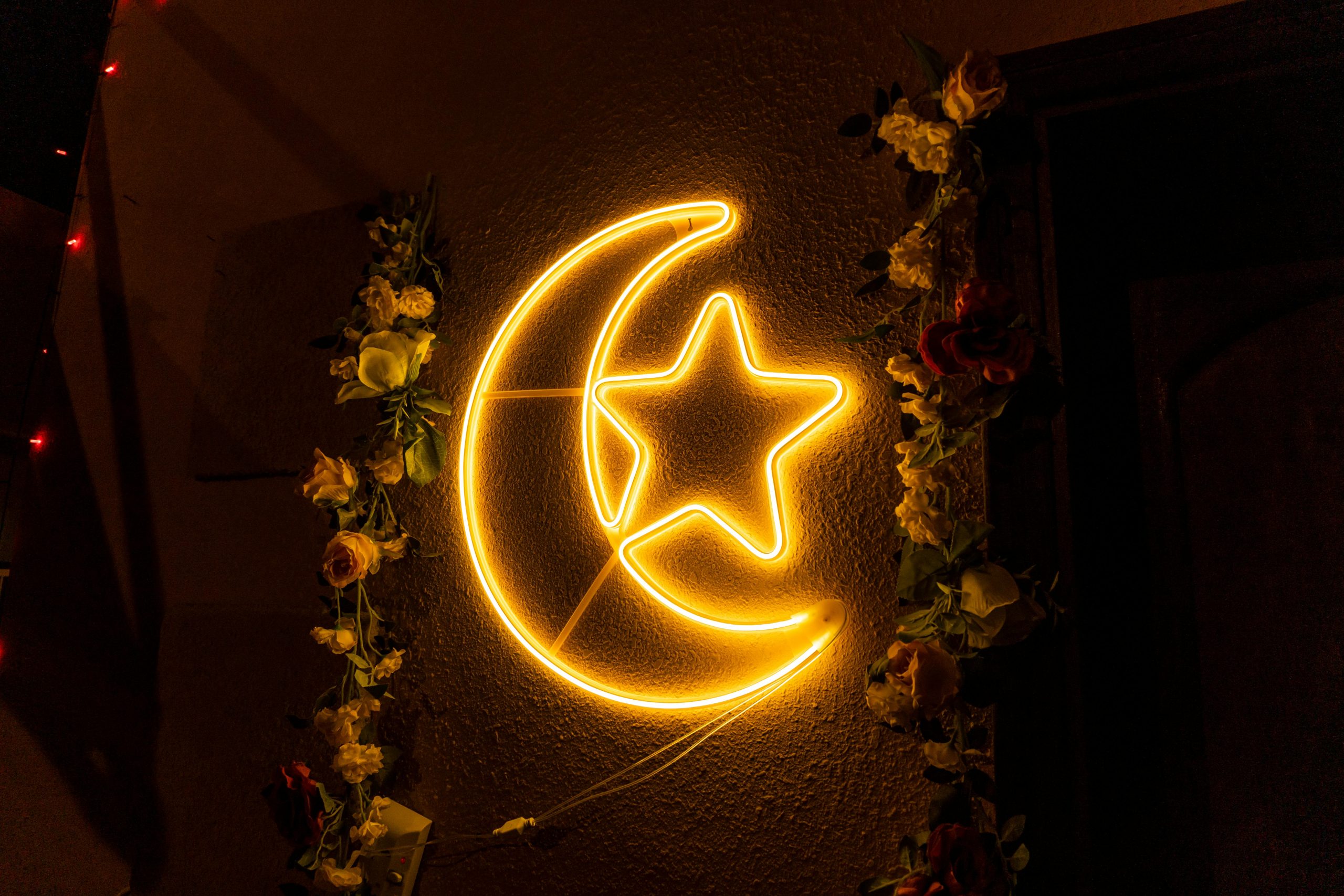 Ilustrasi the star is beautiful isn't it
